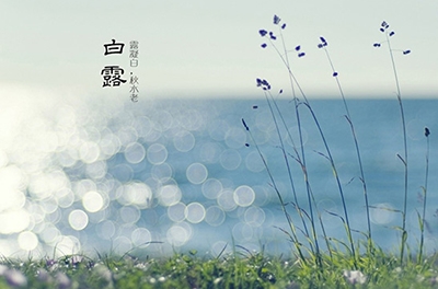 白露降，秋意濃
