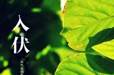 入伏在即，酷暑將至